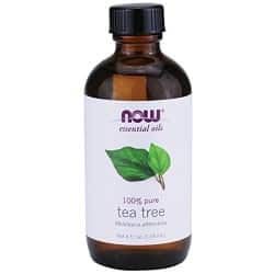 now-foods-tea-tree-oil